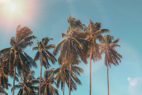 Top Tips to Keep Your Eyes Safe This Summer (And Year Around)
