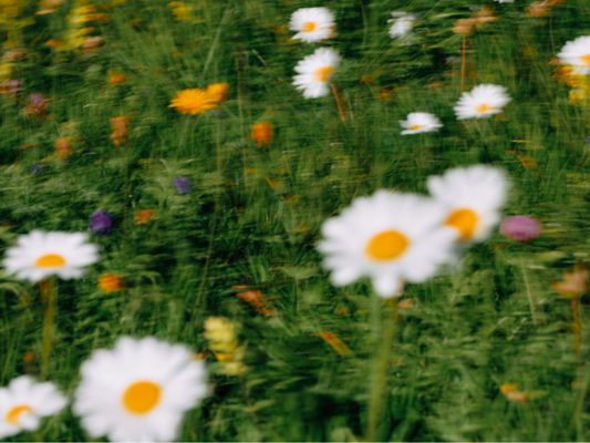 pink-eye-or-dry-eye-how-to-tell-the-difference