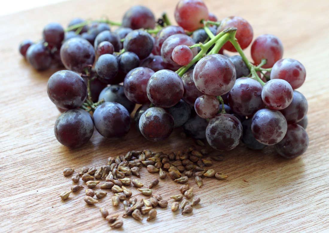 Ingredient Spotlight: Organic Grape Seed Oil