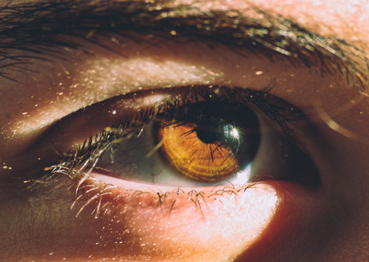 healthy-eyes-spotlight-the-eyelid-microbiome