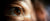 
                  Dry Eyelid Treatments You Might Not Know Of
                