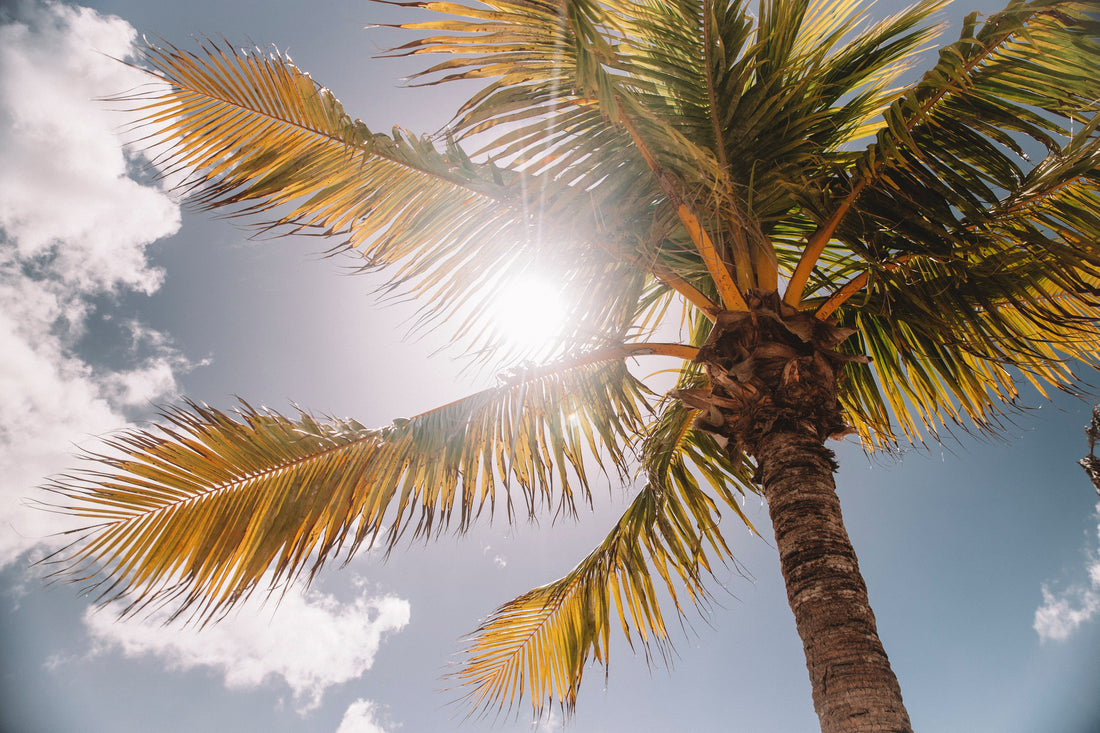 Why the sun is good (and bad) for eyes!