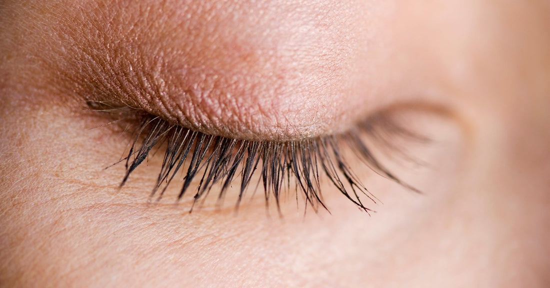 A macro view of a closed eye showing the lash line and the edge of the eyelid