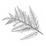 NO Tea Tree